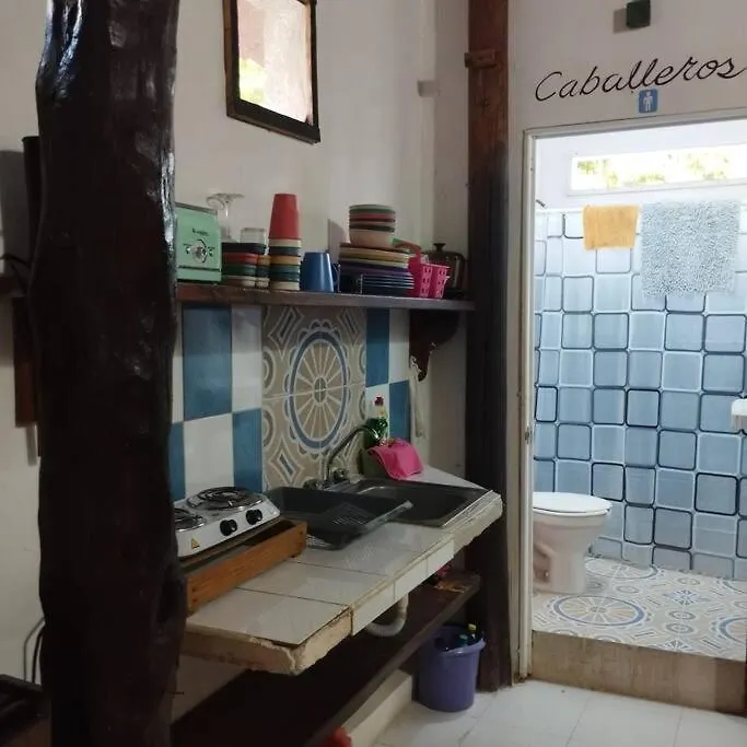 Starfish Appartment Isla Holbox Apartment