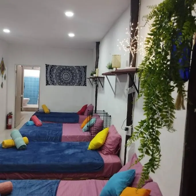 Starfish Appartment Isla Holbox
